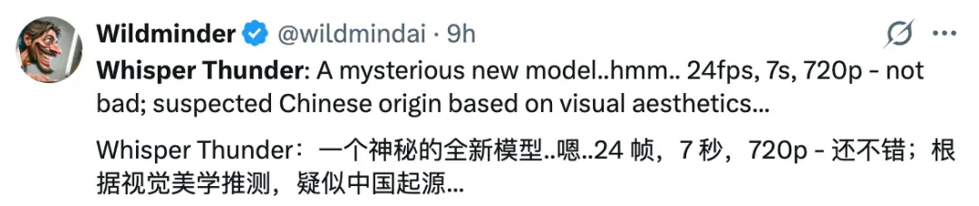 刚刚，神秘模型登顶视频生成榜，又是个中国模型？