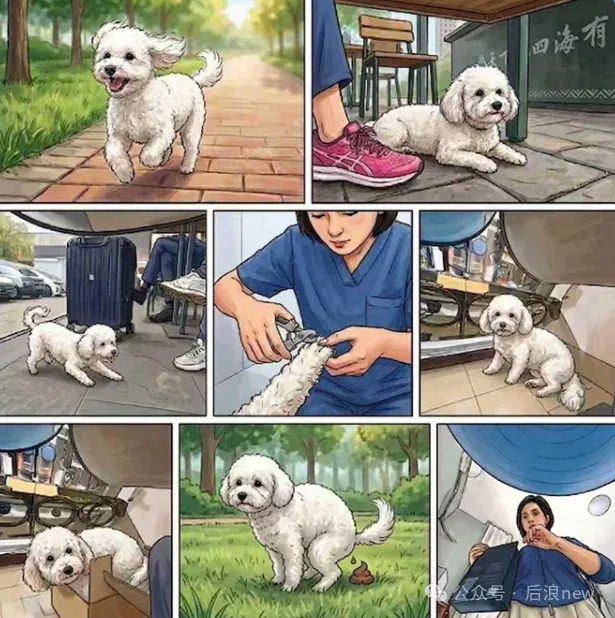 文章配图