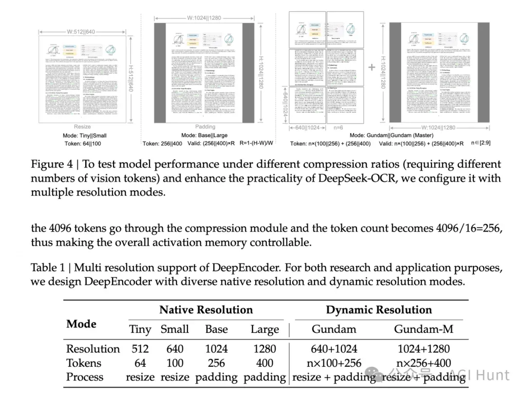 DeepSeek 再开源：发布 3B MoE OCR 模型，视觉压缩高达20倍
