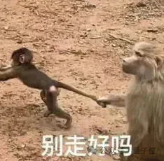库克提拔复旦校友掌舵苹果基础模型！庞若鸣走后涨薪止血，谷歌旧部占据半壁江山