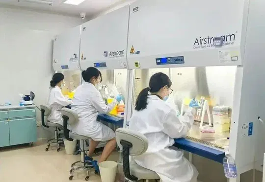北大校友创办，AI虚拟细胞企业元示科技再获亿元融资！上海国资领投