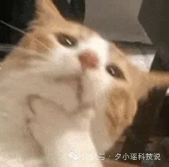 实测用 Claude Code 写小说，意外发现了组队开挂模式