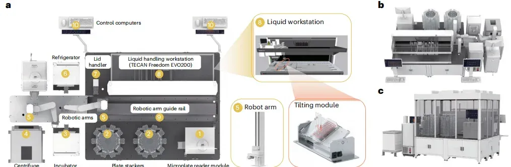 清华双成果颠覆蛋白质设计：AI 压缩序列空间，全自动进化工厂实现设计验证闭环