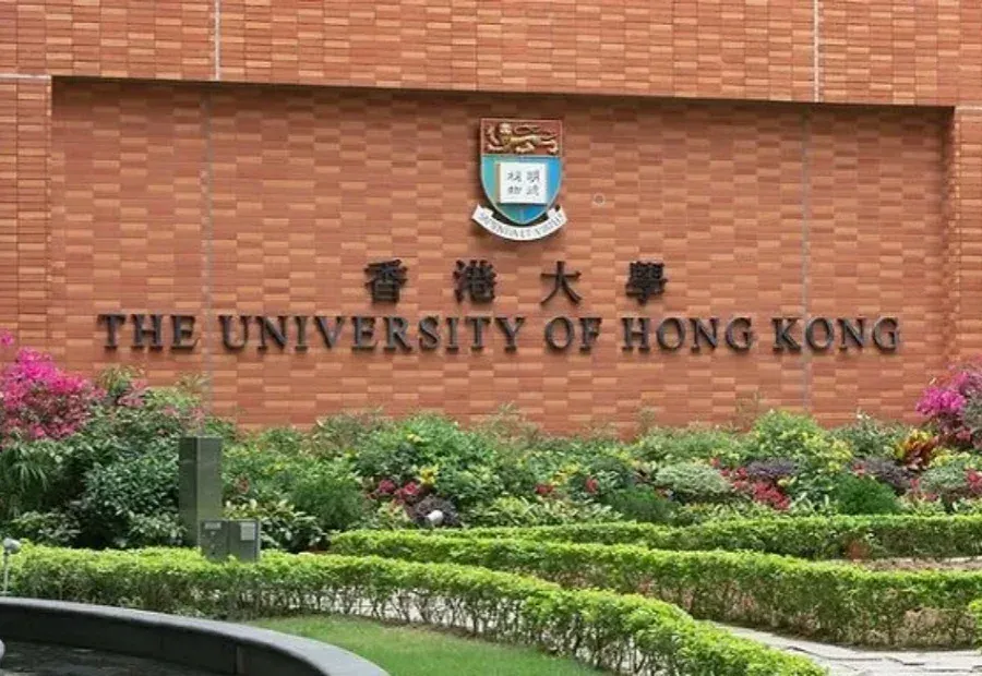 港大一副院长“下课”！涉AI论文造假案，因24条假文献被追责