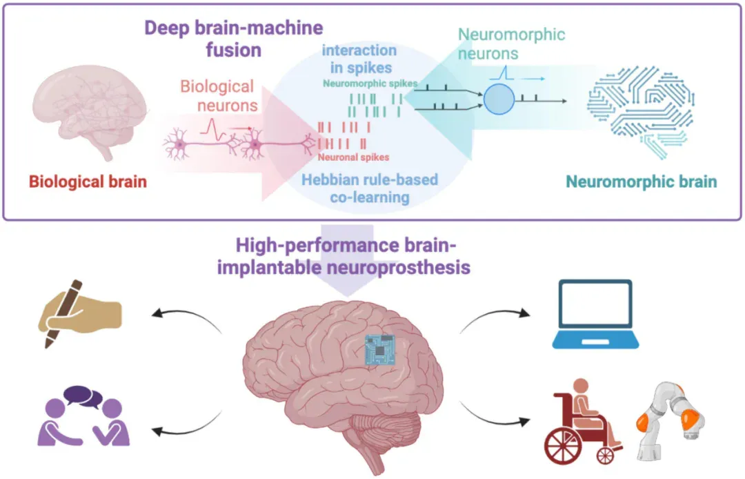 NeuroAI的尴尬现实：我们是被迫加上AI这个标签的吗？