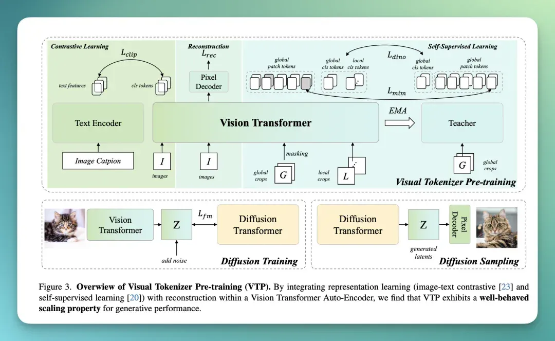 MiniMax海螺首次开源 VTP，打通了 Visual Tokenizer 的 Scaling Law