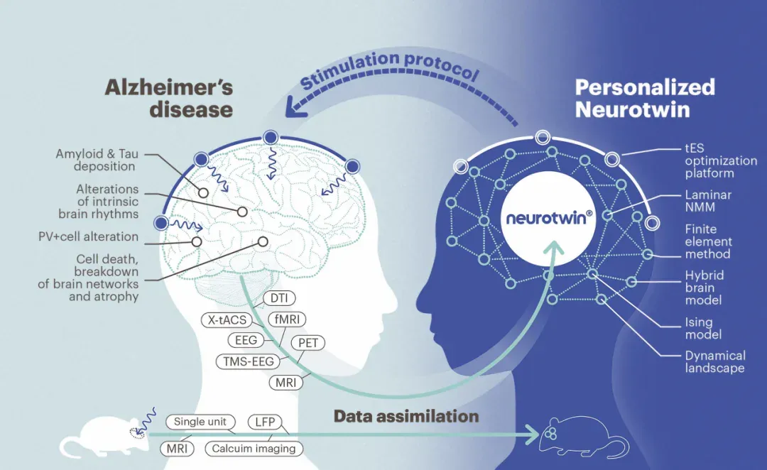NeuroAI的尴尬现实：我们是被迫加上AI这个标签的吗？