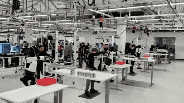 干家务一小时挣1000元，具身智能时代人类新岗位