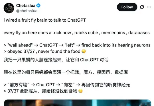 震撼!果蝇大脑成功接上了ChatGPT