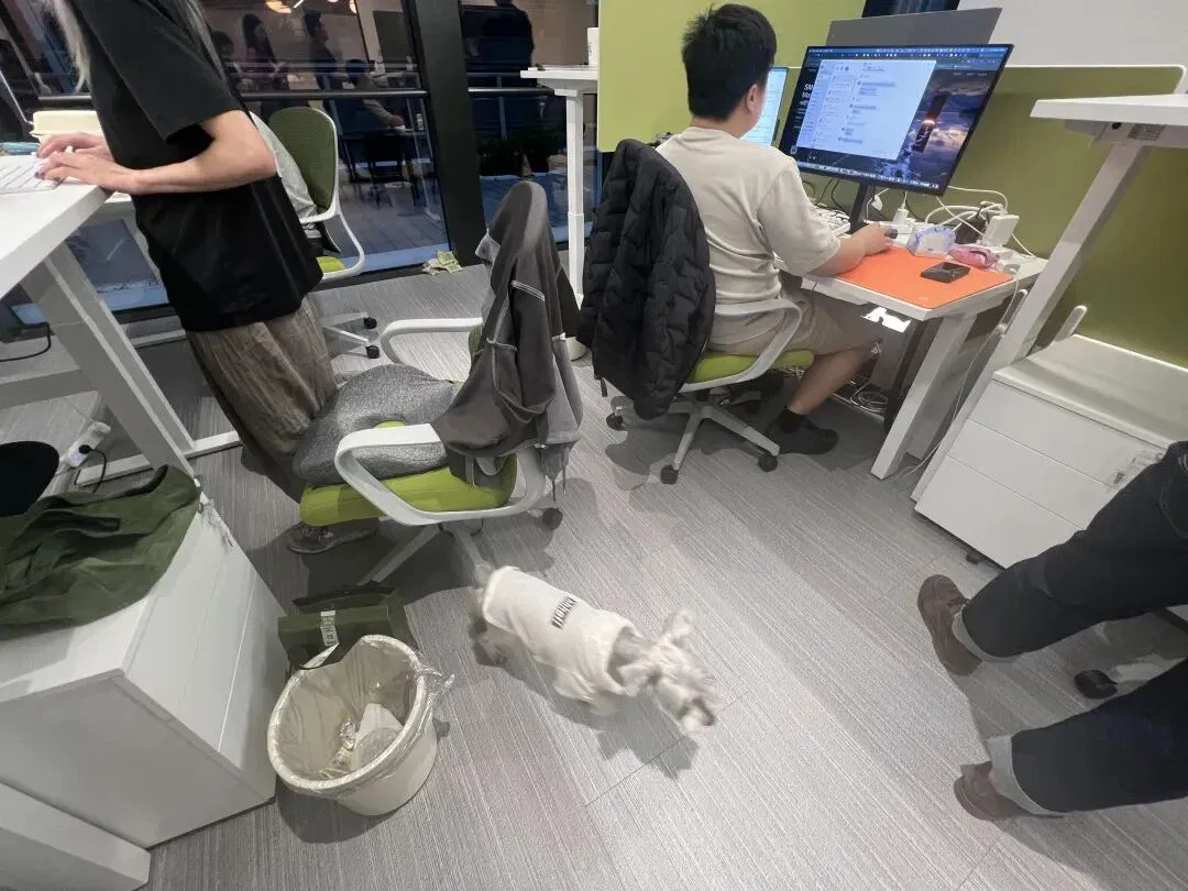 文章配图