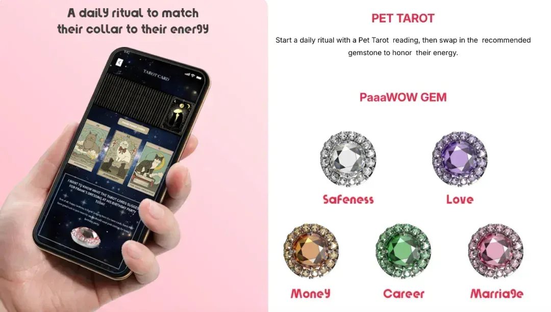 拿下数百万天使轮融资，00后创业者要用AI做狗狗的Apple Watch｜对话创始人