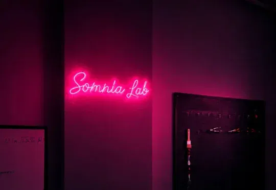 探访性爱机器人公司Somnia Lab：卧室里的性与AI