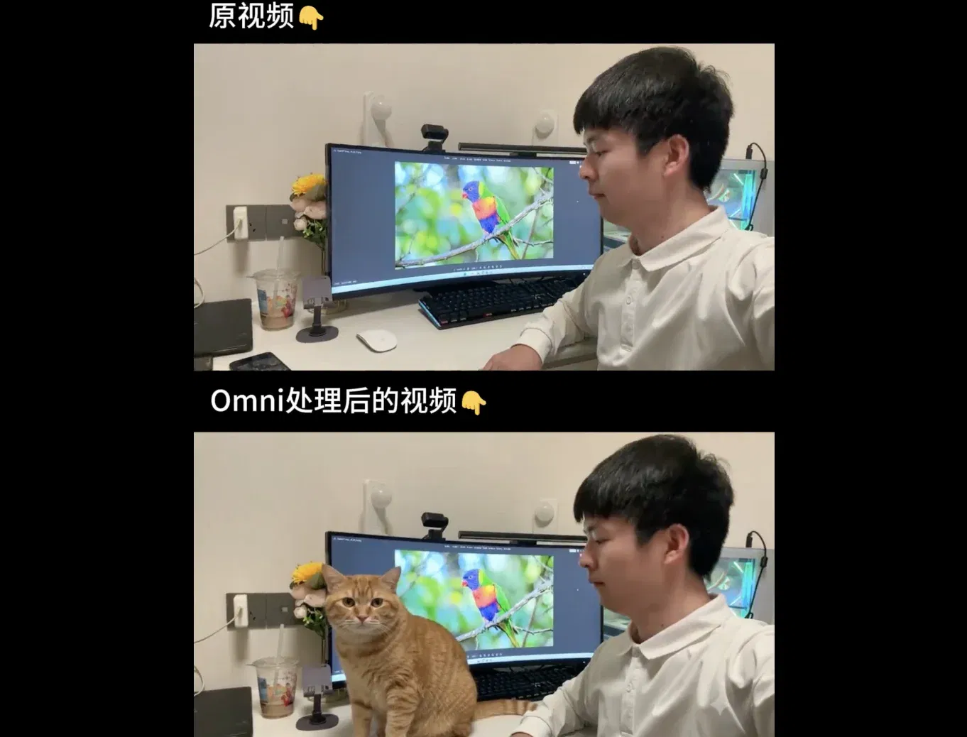 文章配图