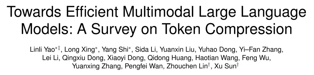 关于多模态大模型Token压缩技术进展，看这一篇就够了