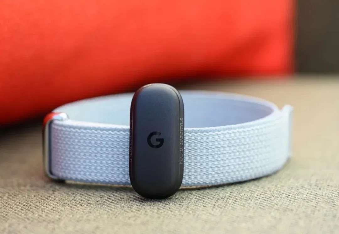 Fitbit Air 手环深度体验：「无屏」只是手段，模型能力才是护城河