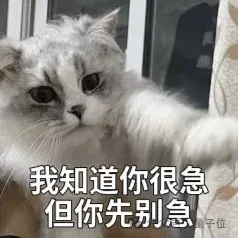 GPT5.5代号“蒜你狠”曝光！OpenAI拉响红色警报加班赶制新模型，最快下周就发