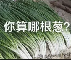 GPT5.5代号“蒜你狠”曝光！OpenAI拉响红色警报加班赶制新模型，最快下周就发