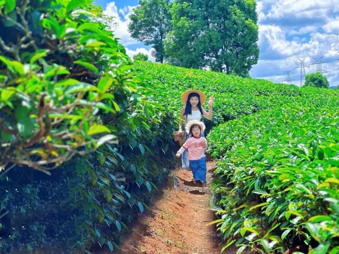 文章配图