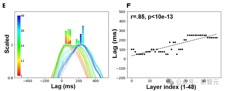 GPT在模仿人类？Nature发现：大脑才是最早的Transformer！