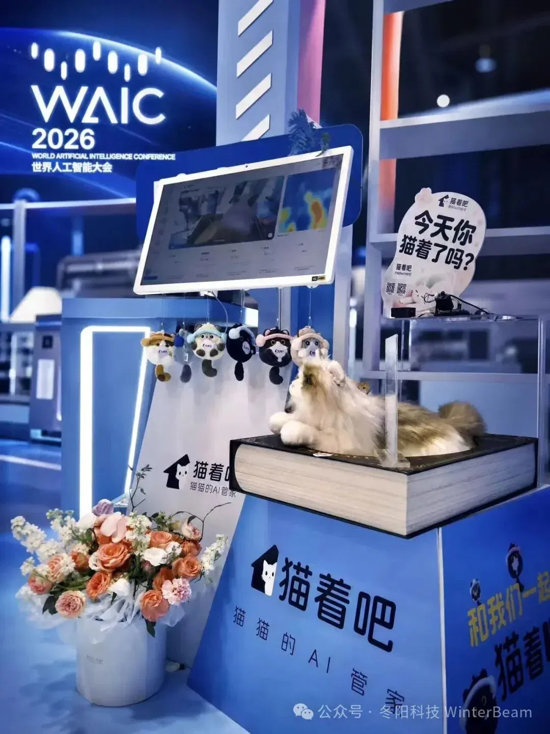 文章配图