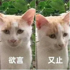OpenAI被曝瞄准AI音乐赛道商业化，Suno首当其冲