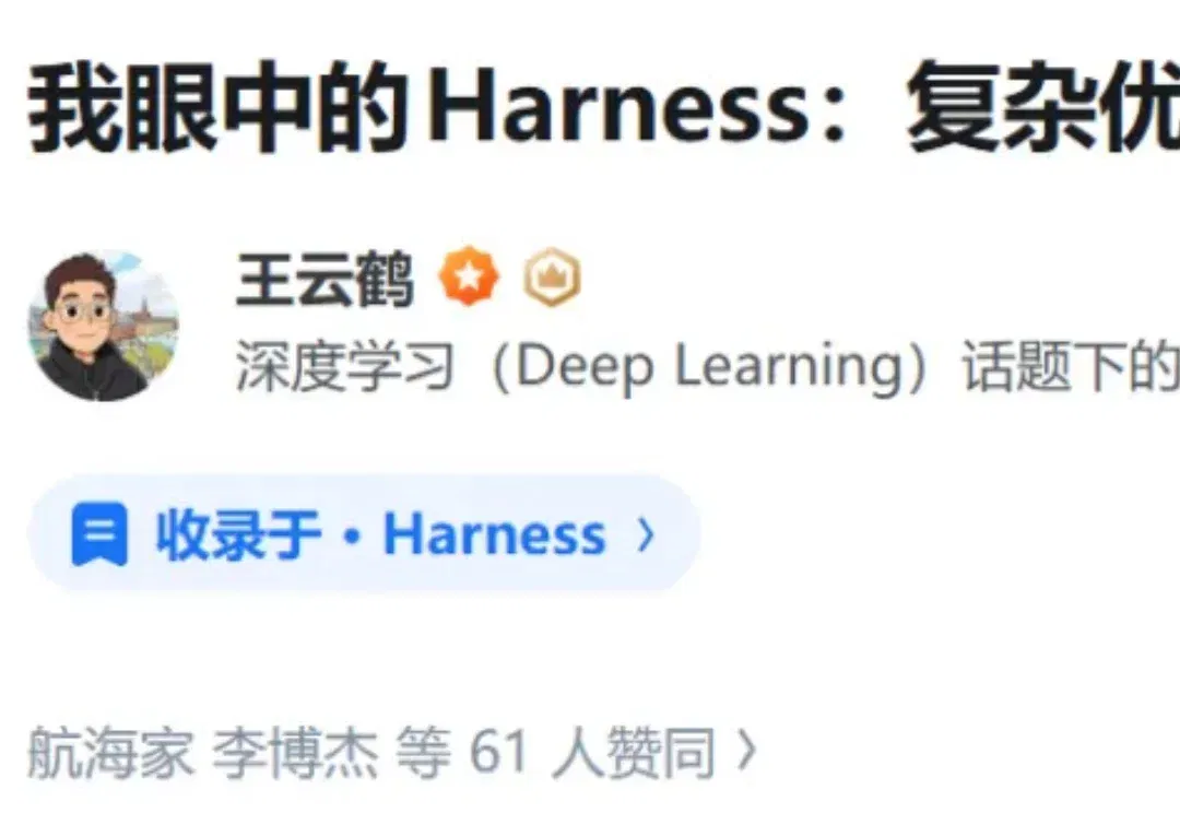 王云鹤眼中的Harness：复杂优化问题，AGI灵魂争夺之战