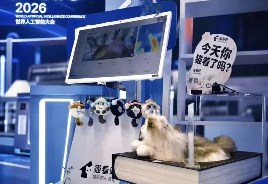用AI读懂每只猫丨冬阳科技完成种子轮融资, AI 猫窝首秀 WAIC