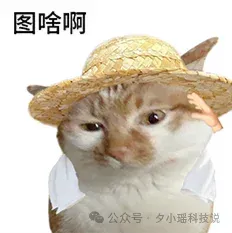 印度AI第三，AI巨头们开启收割