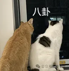 “豆包手机”在二手市场价格都翻倍了……