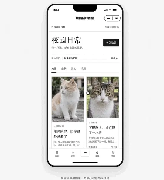 文章配图