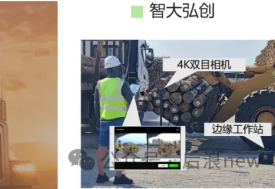 AI热钱流向传统行业，北大清华团队「智大弘创」用AI解锁林业机遇