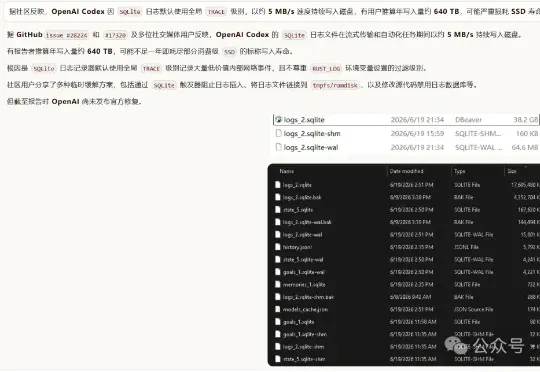 Codex史诗级大bug，随时准备烧穿你的硬盘（附解决方案）