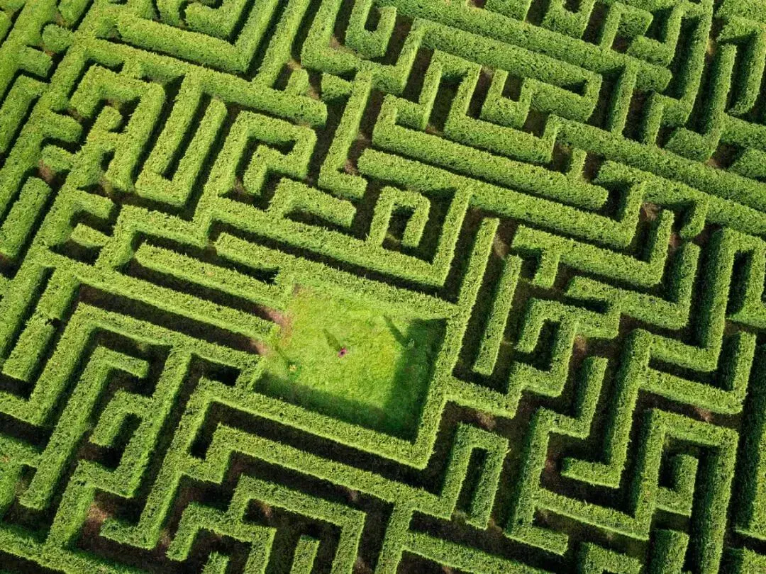 文章配图