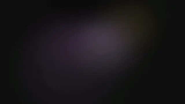 95 后团队做 3D 大模型，拿下头部游戏重磅合作，正在定义 3D 生成的新规则