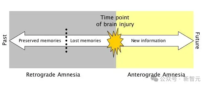 Transformer已死？DeepMind正在押注另一条AGI路线