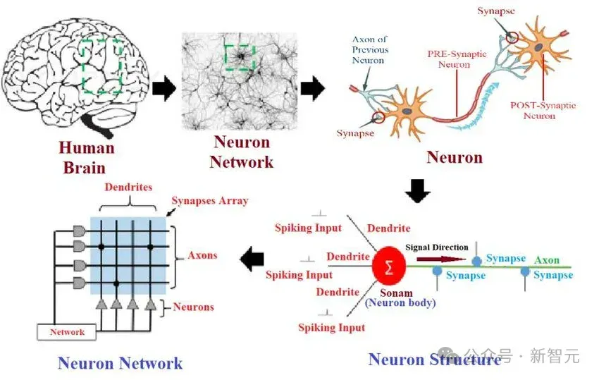 DeepMind科学家惊人预测：AGI在2028年实现，大规模失业要来了