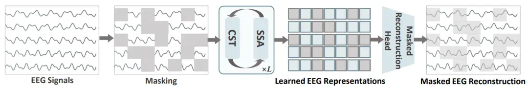 通用脑机接口时代要来了？跨尺度脑基础模型CSBrain真正读懂脑信号