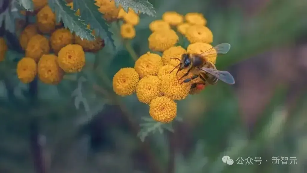 谷歌AI封神五年！AlphaFold狂揽诺奖，2亿蛋白结构全预测
