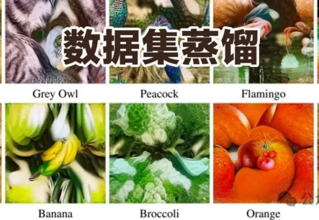 数据集蒸馏，连发两篇顶会！10%样本实现全量性能，鲁棒不失真