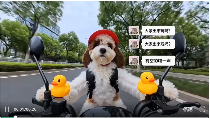 文章配图