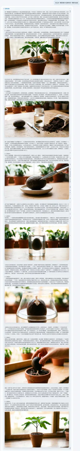 文章配图