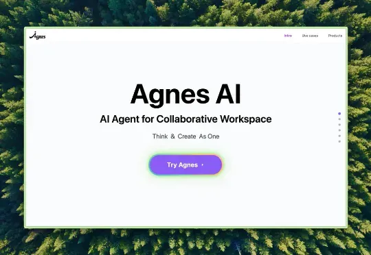 对话 Agnes AI:“我们想让全球的用户,用到更好的 AI。”