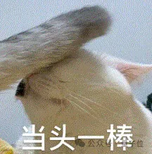 6666！NeurIPS满分论文来了