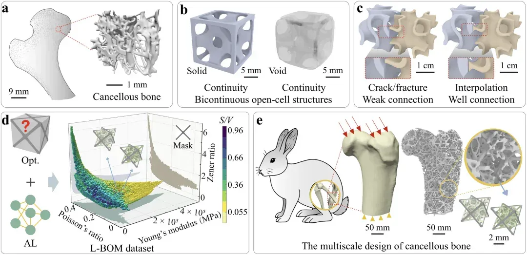 AI for Science开年新突破：中科大实现多尺度结构逆向设计128倍加速，登上Nature子刊