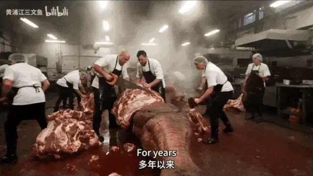 第一档AI生成的下饭综艺，700万人入坑