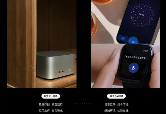 HALOFLY不想做AI助手，而要做长期协作的“AI合伙人”