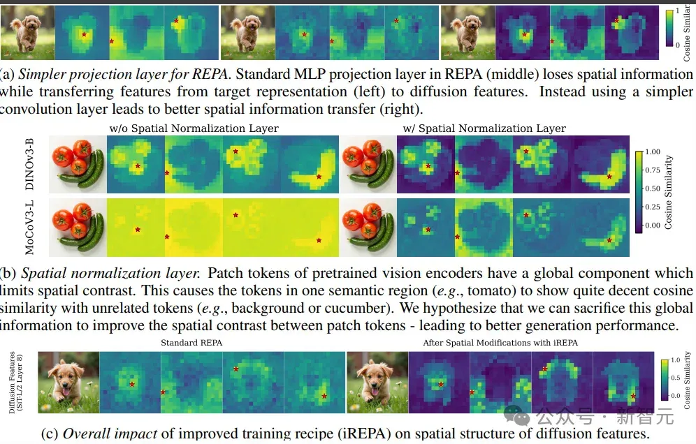 ImageNet分数越高，生成反而越糊？iREPA给出解释