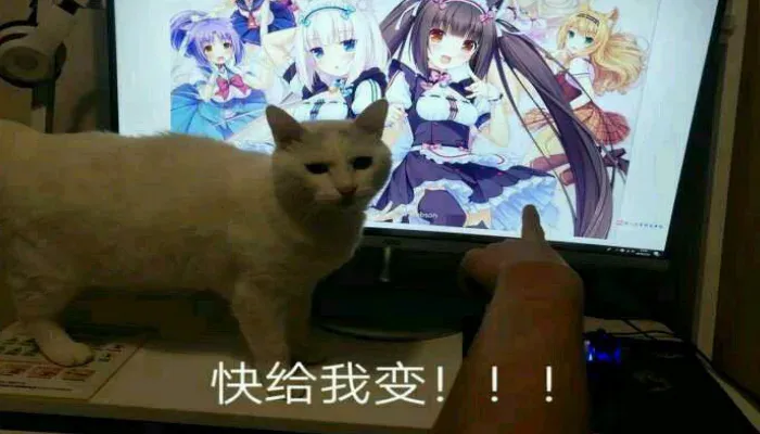 被东北雨姐舔耳10小时后，我终于被AI asmr睡服了