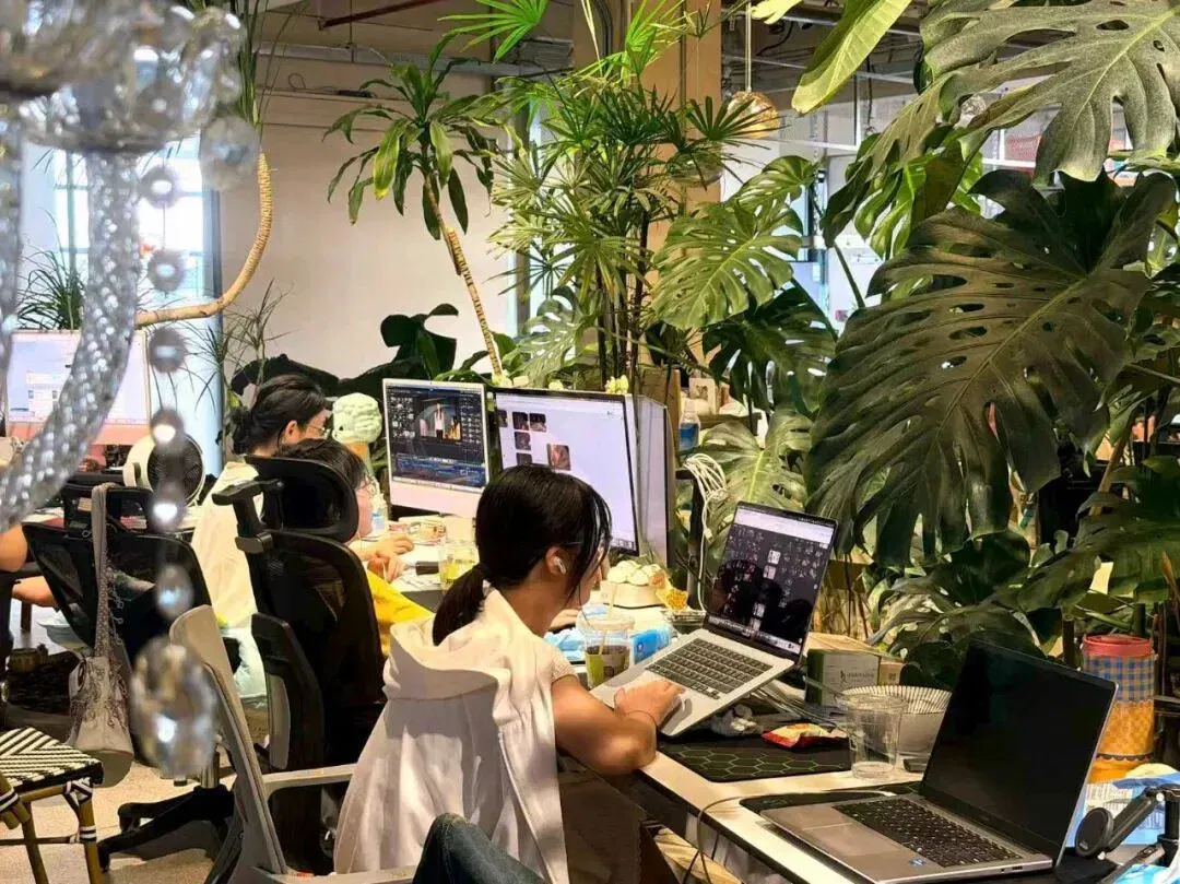 文章配图