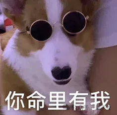 LeCun离职后不止创一份业！押注与大模型不同的路线，加入硅谷初创董事会